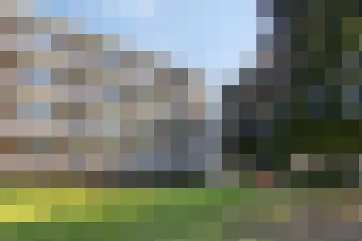 Schrijverspark 131 02 Veenendaal thumbnail 18