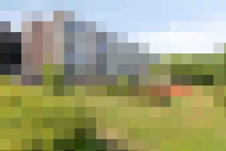Schrijverspark 131 02 Veenendaal thumbnail 22