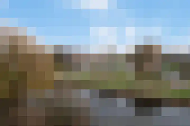 Schrijverspark 145 02 Veenendaal thumbnail 10