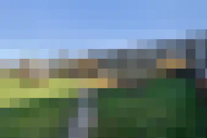Schrijverspark 149 01 Veenendaal thumbnail 7