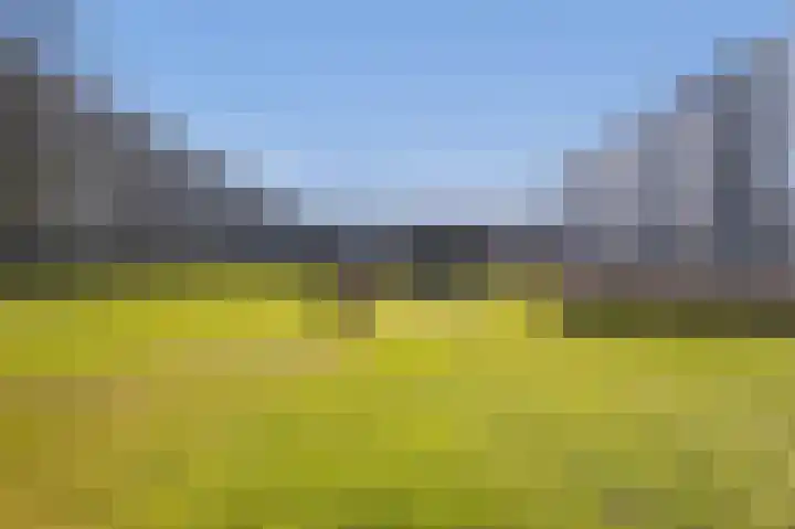 Schrijverspark 149 01 Veenendaal thumbnail 8