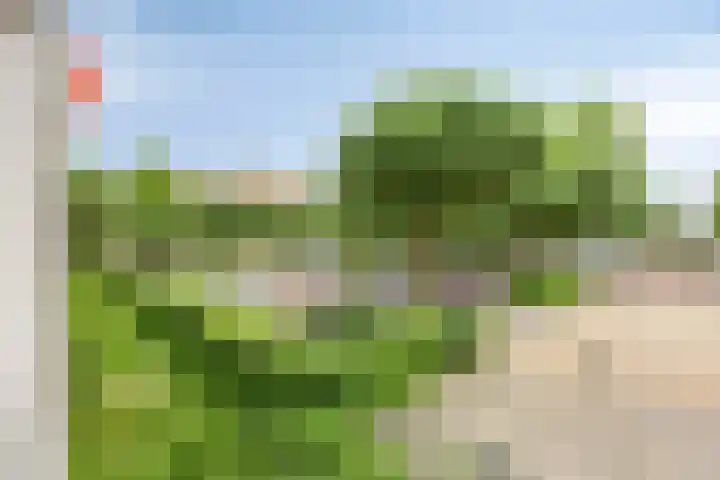 Schrijverspark 151 Veenendaal thumbnail 24