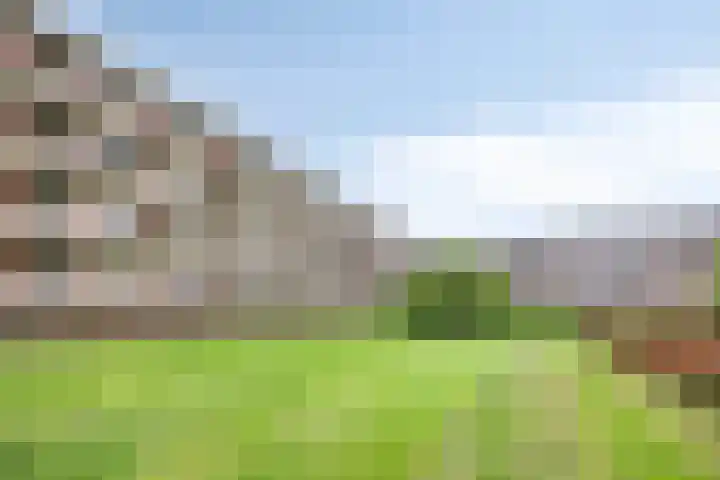 Schrijverspark 151 Veenendaal thumbnail 26