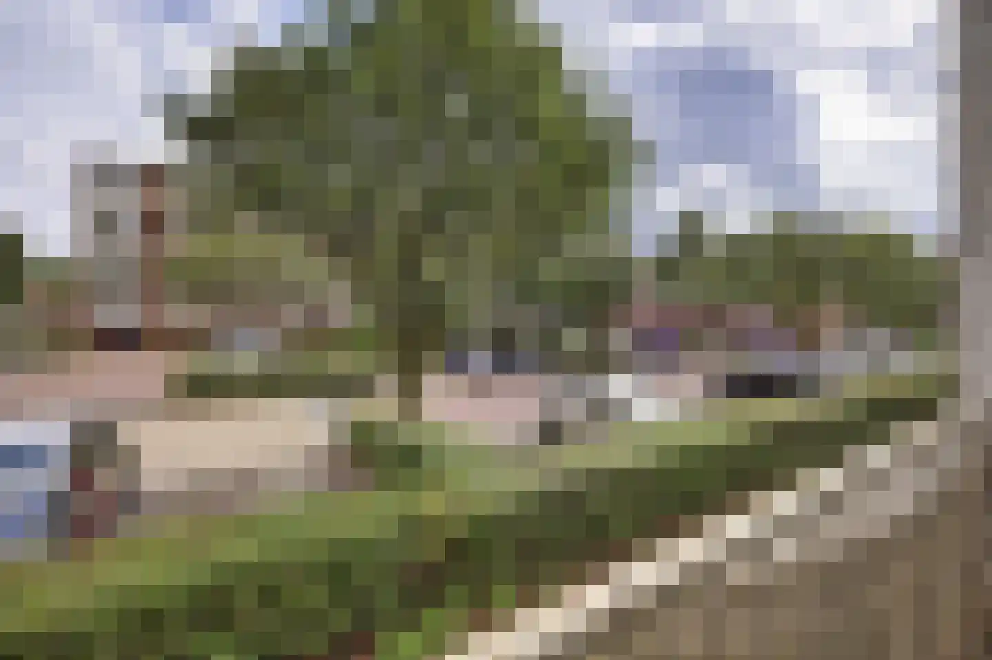 Schrijverspark 163 Veenendaal thumbnail 22
