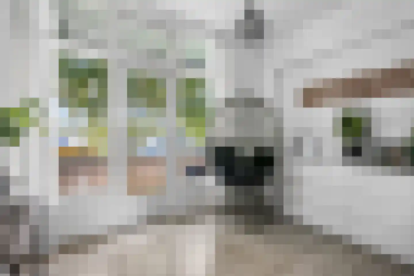 Schrijverspark 171 01 Veenendaal thumbnail 7