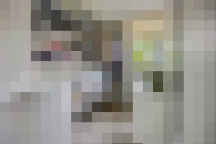 Schrijverspark 173 01 Veenendaal thumbnail 18
