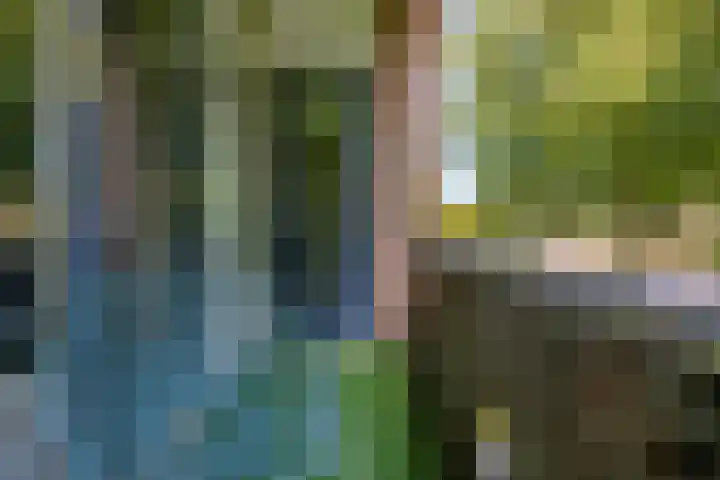 Schrijverspark 173 01 Veenendaal thumbnail 27