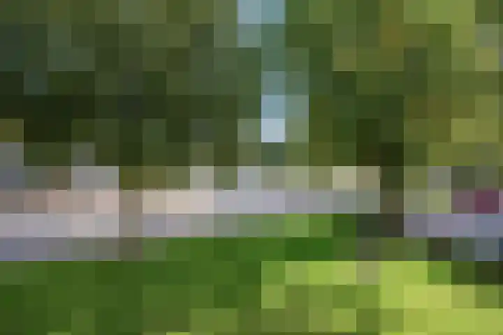 Schrijverspark 173 01 Veenendaal thumbnail 28
