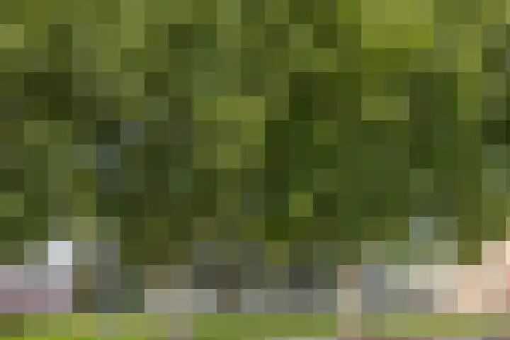 Schrijverspark 173 01 Veenendaal thumbnail 30