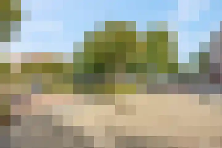 Schrijverspark 173 01 Veenendaal thumbnail 31