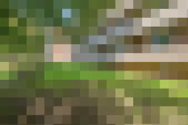 Schrijverspark 173 01 Veenendaal thumbnail 32