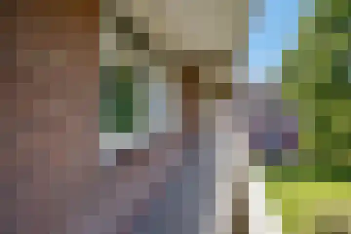 Schrijverspark 173 01 Veenendaal thumbnail 7
