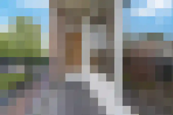 Schrijverspark 177 02 Veenendaal thumbnail 10