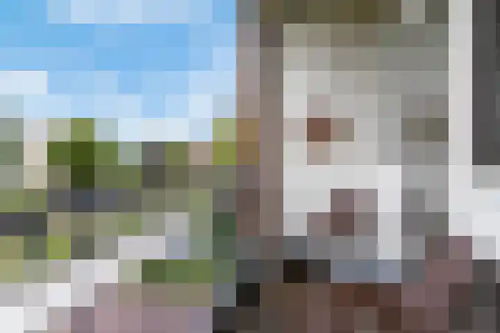 Schrijverspark 177 02 Veenendaal thumbnail 13