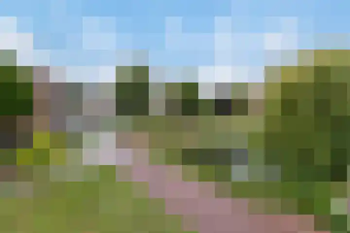 Schrijverspark 177 02 Veenendaal thumbnail 14