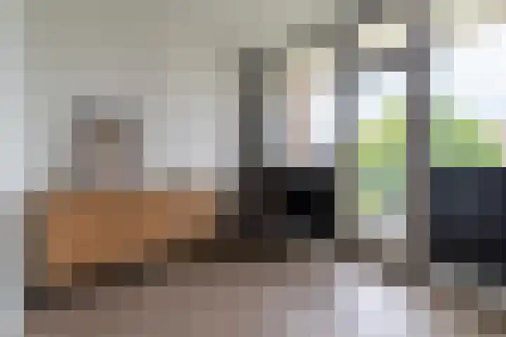 Schrijverspark 177 02 Veenendaal thumbnail 19