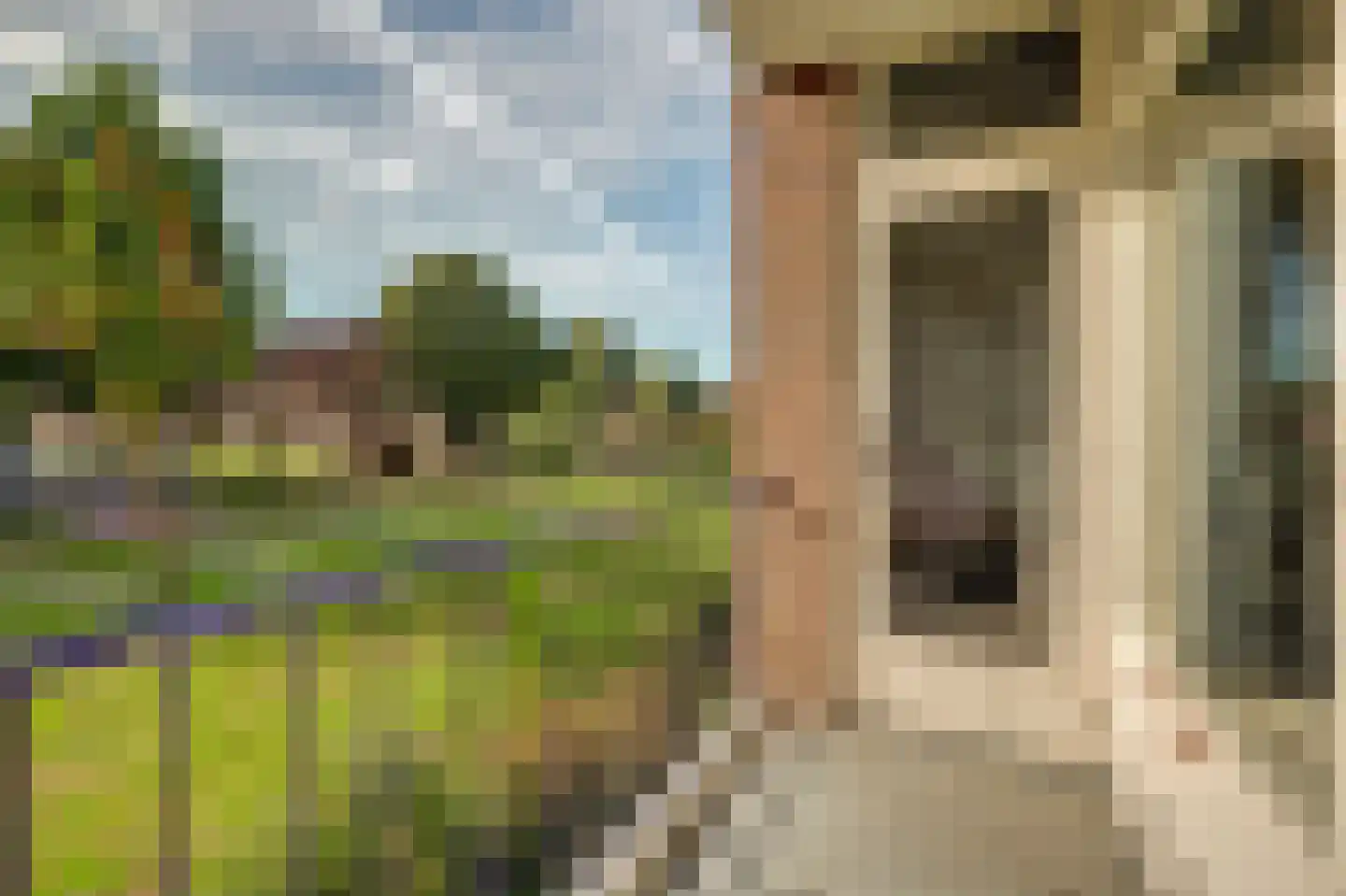 Schrijverspark 187 Veenendaal thumbnail 26