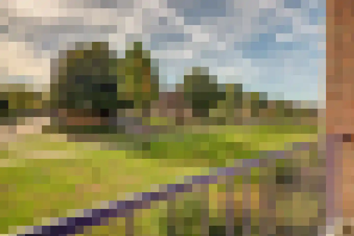 Schrijverspark 187 Veenendaal thumbnail 28