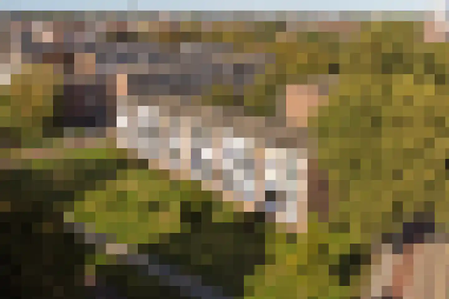 Schrijverspark 187 Veenendaal thumbnail 35