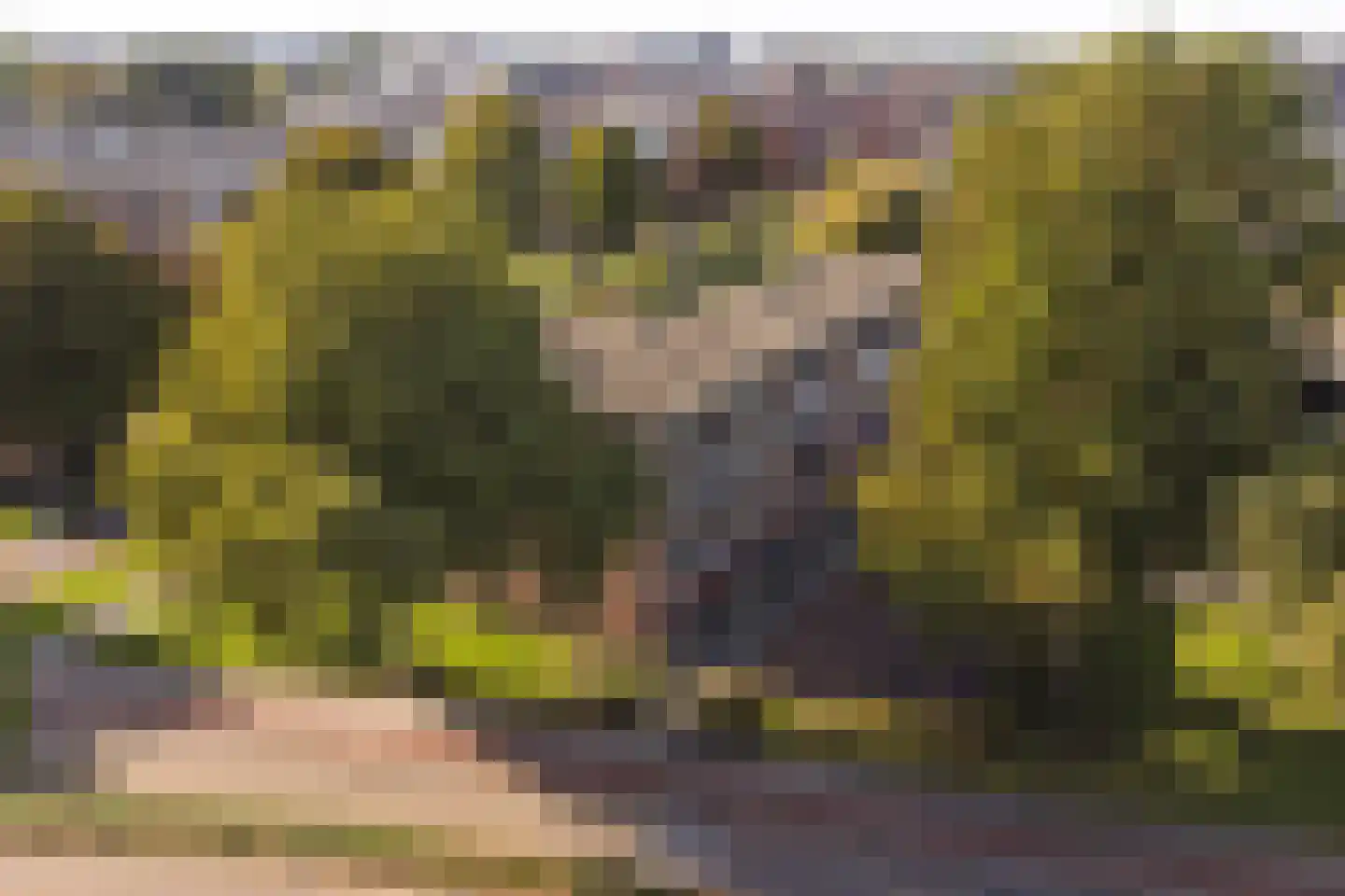 Schrijverspark 187 Veenendaal thumbnail 37