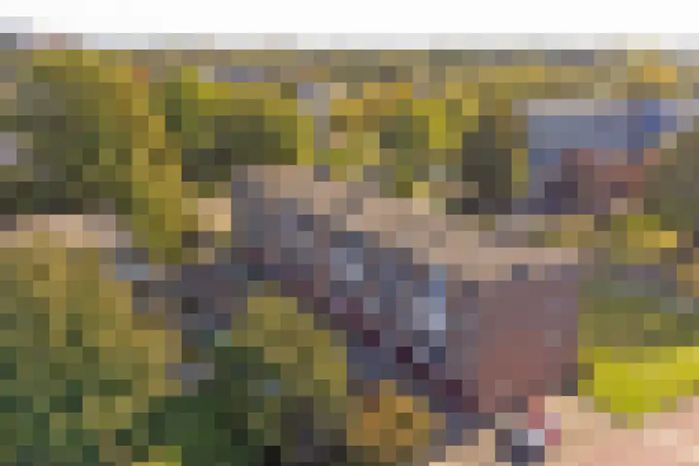 Schrijverspark 187 Veenendaal thumbnail 38