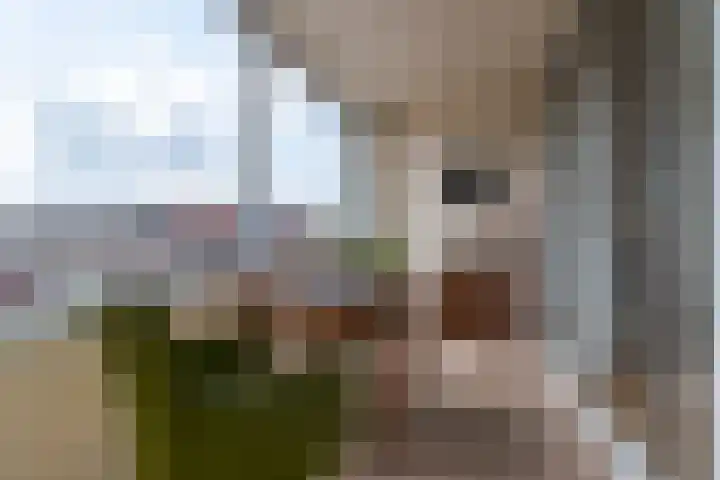 Schrijverspark 57 Veenendaal thumbnail 4