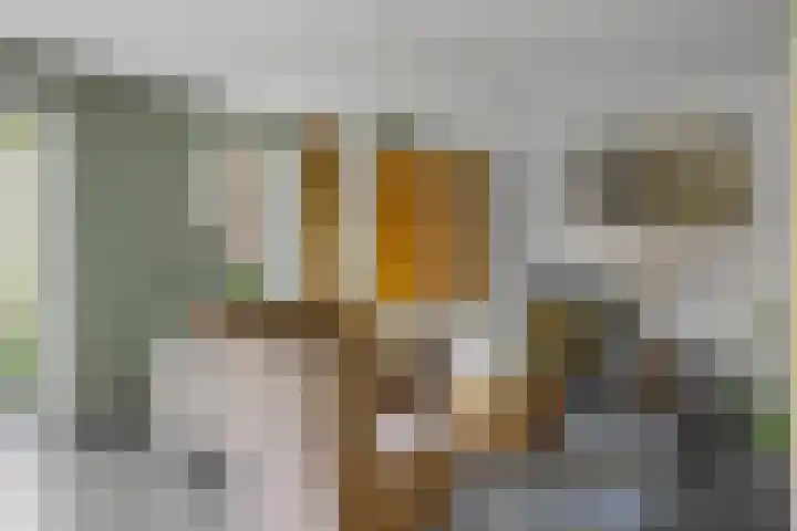 Schrijverstraat 3 Loon op Zand thumbnail 10