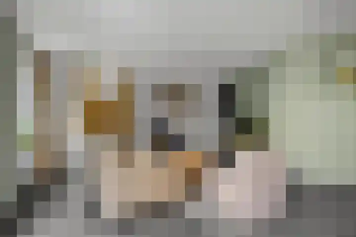 Schrijverstraat 3 Loon op Zand thumbnail 11