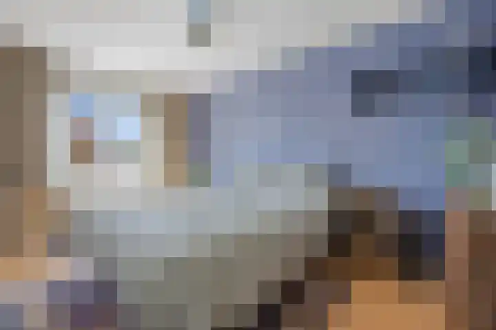 Schrijverstraat 3 Loon op Zand thumbnail 19
