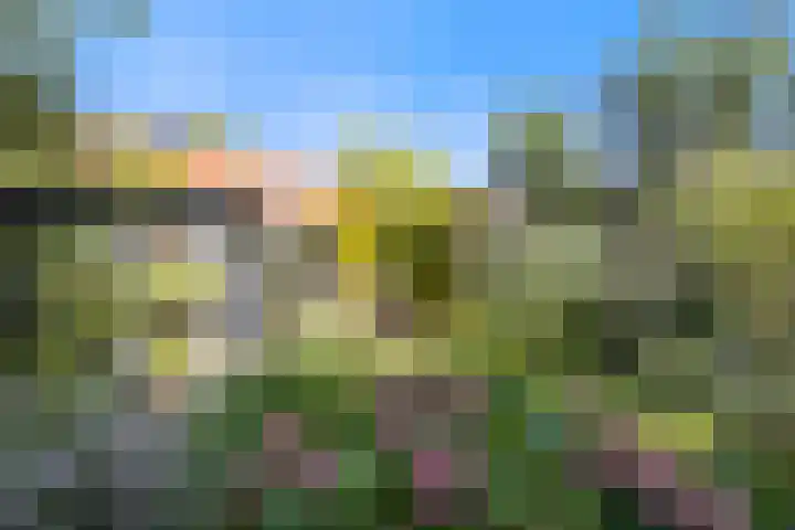Schrijverstraat 3 Loon op Zand thumbnail 33