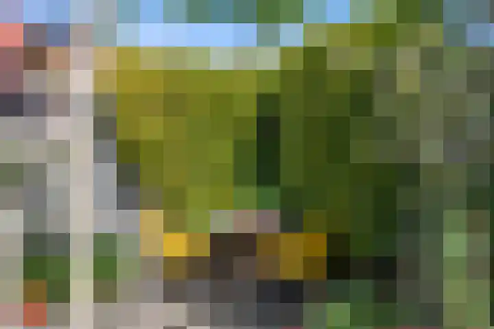 Schrijverstraat 3 Loon op Zand thumbnail 34
