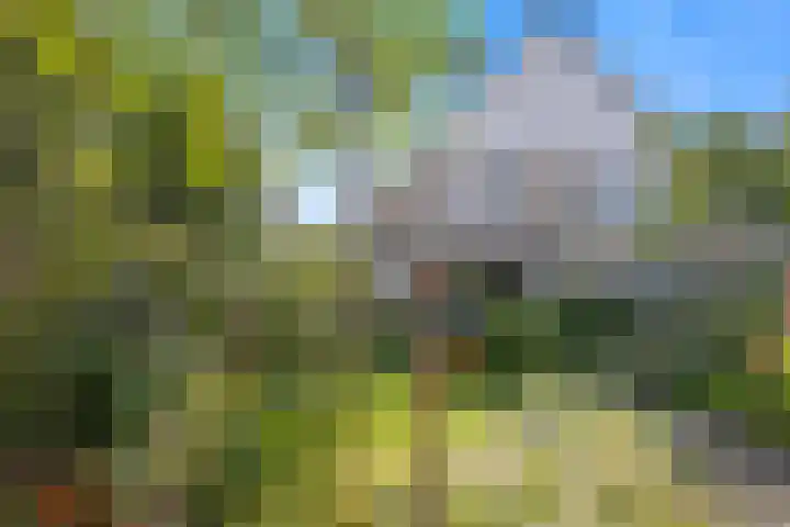 Schrijverstraat 3 Loon op Zand thumbnail 35