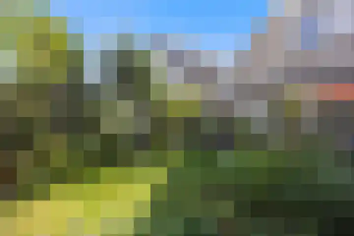 Schrijverstraat 3 Loon op Zand thumbnail 36
