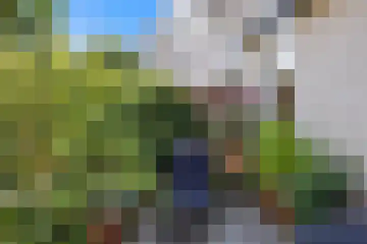 Schrijverstraat 3 Loon op Zand thumbnail 37