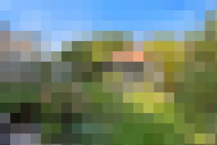 Schrijverstraat 3 Loon op Zand thumbnail 4