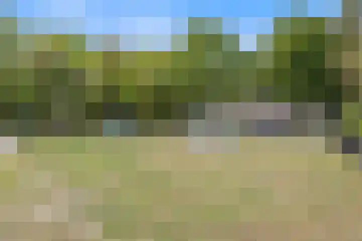 Schrijverstraat 3 Loon op Zand thumbnail 41