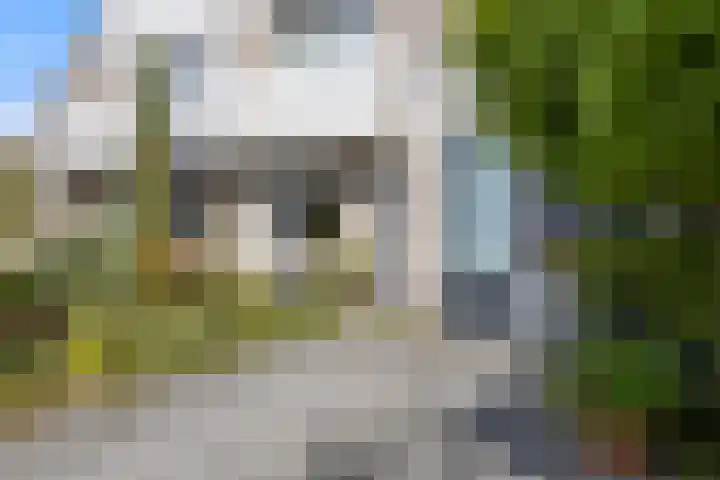 Schrijverstraat 3 Loon op Zand thumbnail 5