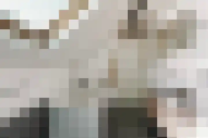 Schrijverstraat 4 Loon op Zand thumbnail 26