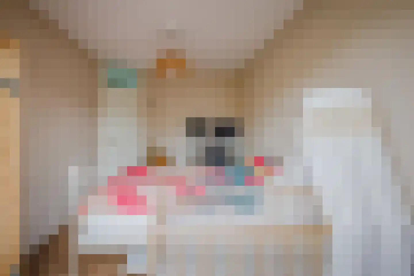 Schrijverstraat 5 Loon op Zand thumbnail 37