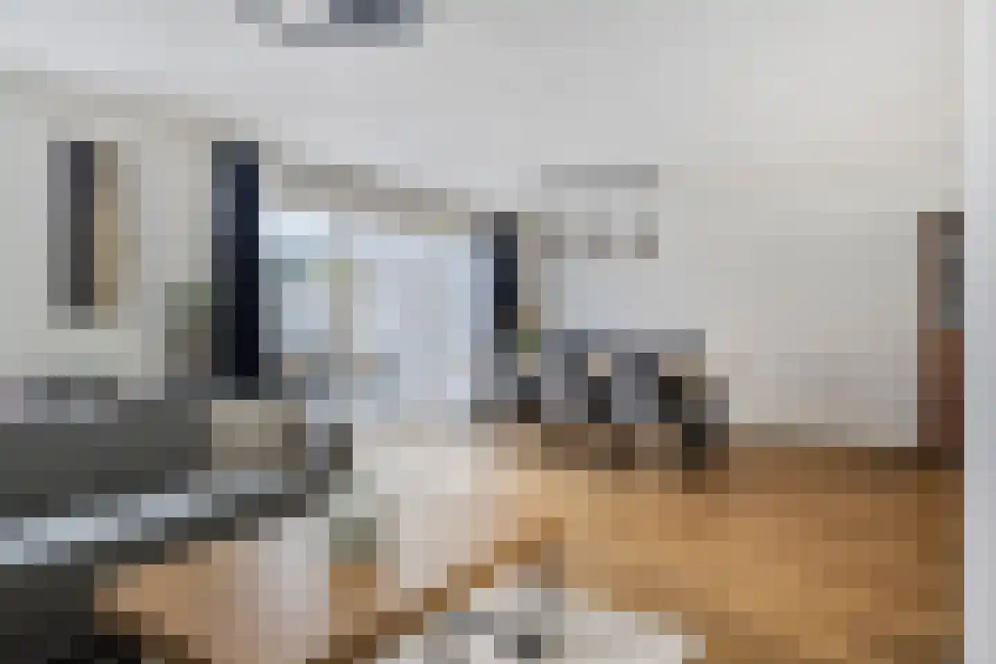 Schrijverstraat 9 Loon op Zand thumbnail 17