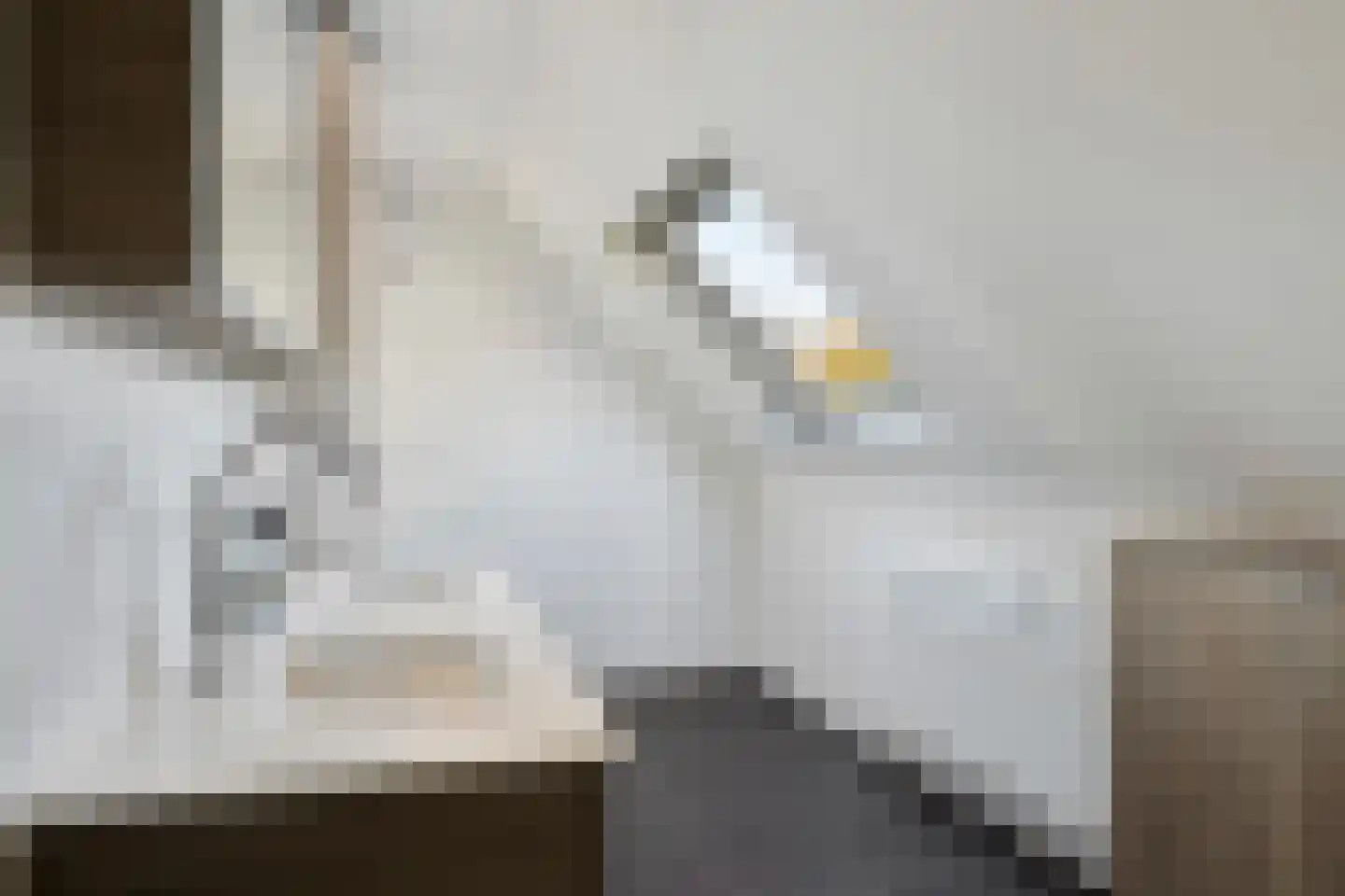Schrijverstraat 9 Loon op Zand thumbnail 28