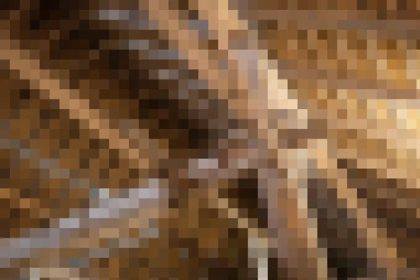 Schrijversweg 2 Deventer thumbnail 36