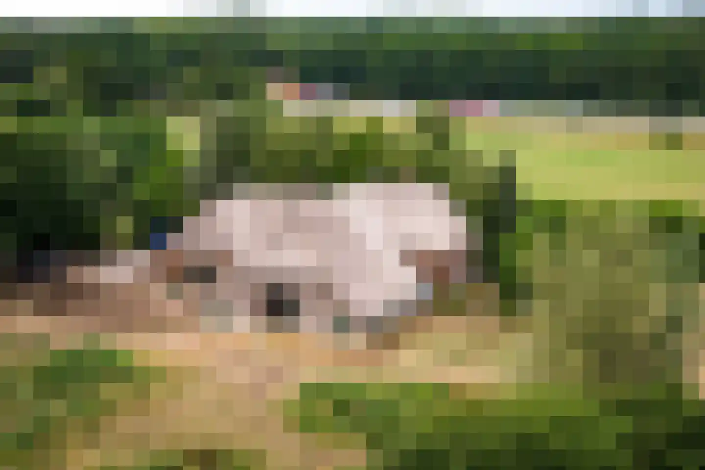 Schrijversweg 2 Deventer thumbnail 4