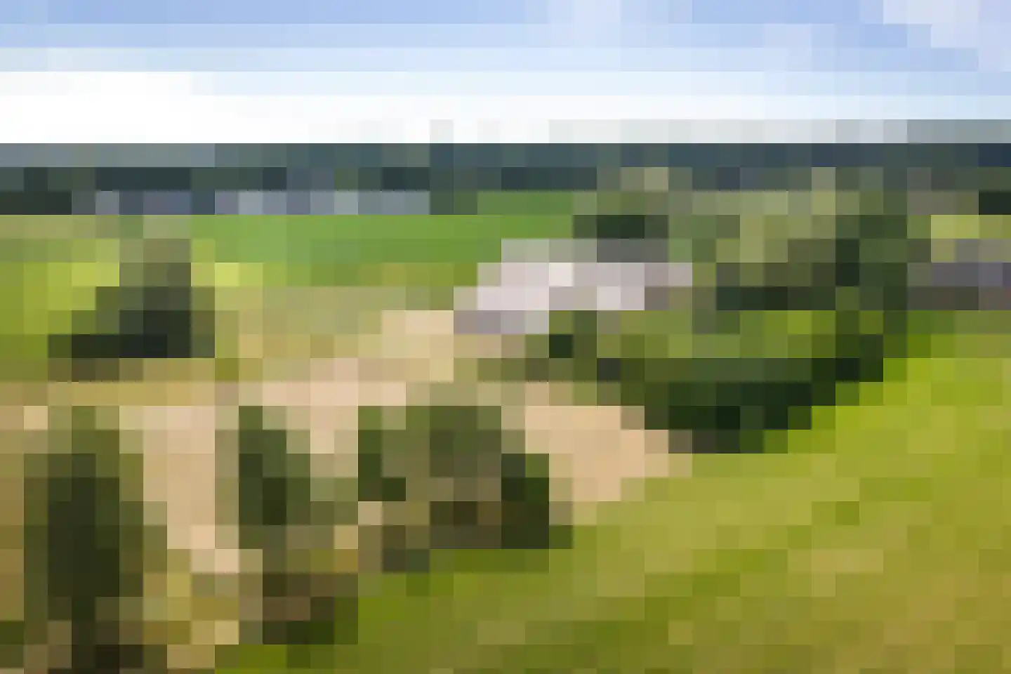 Schrijversweg 2 Deventer thumbnail 42