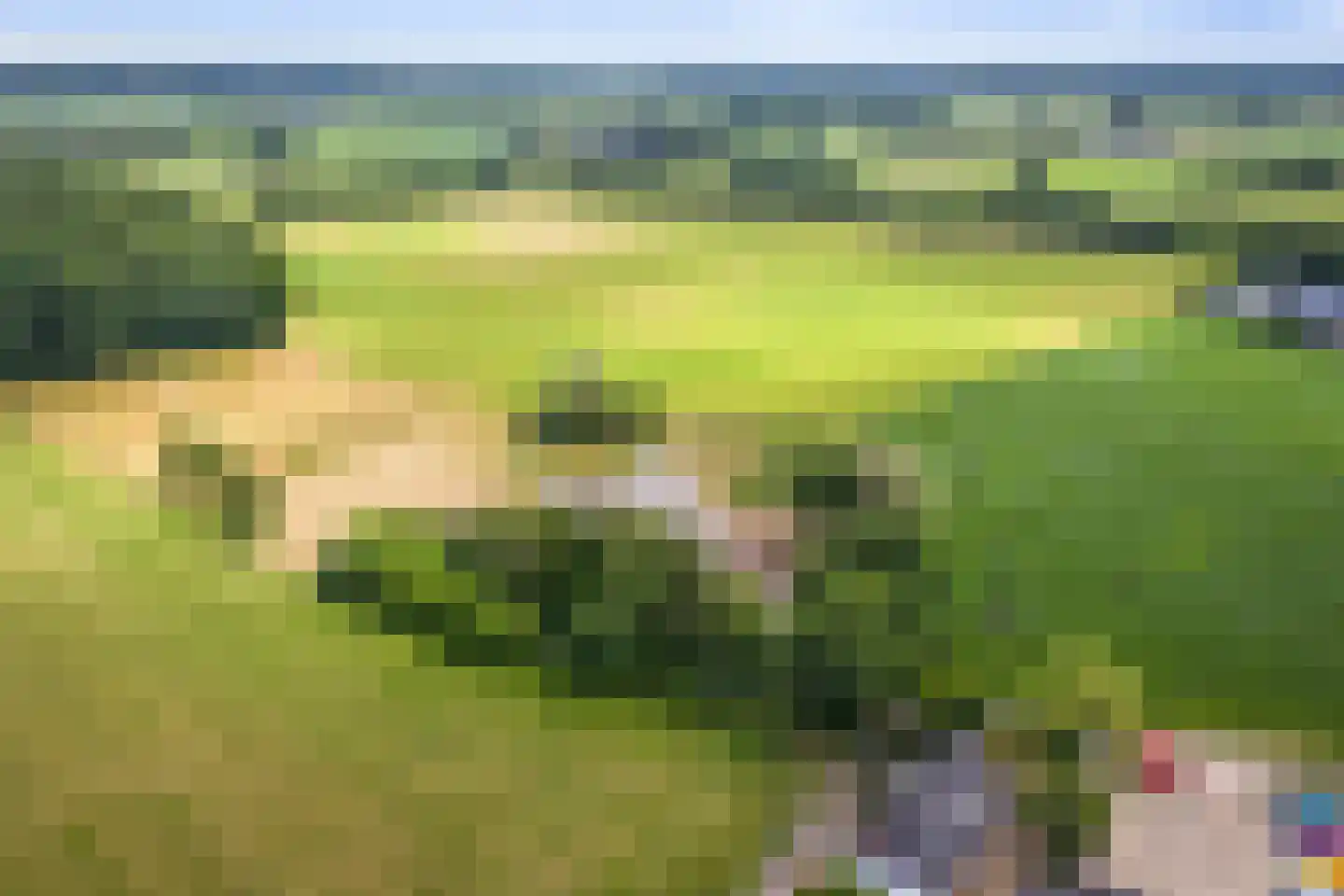 Schrijversweg 2 Deventer thumbnail 43