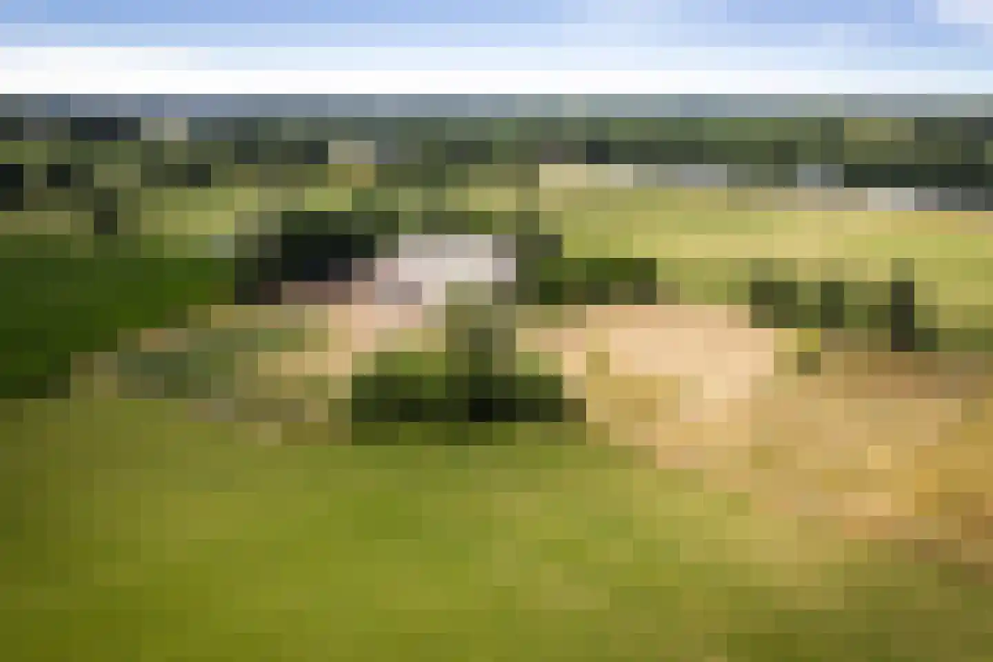 Schrijversweg 2 Deventer thumbnail 46