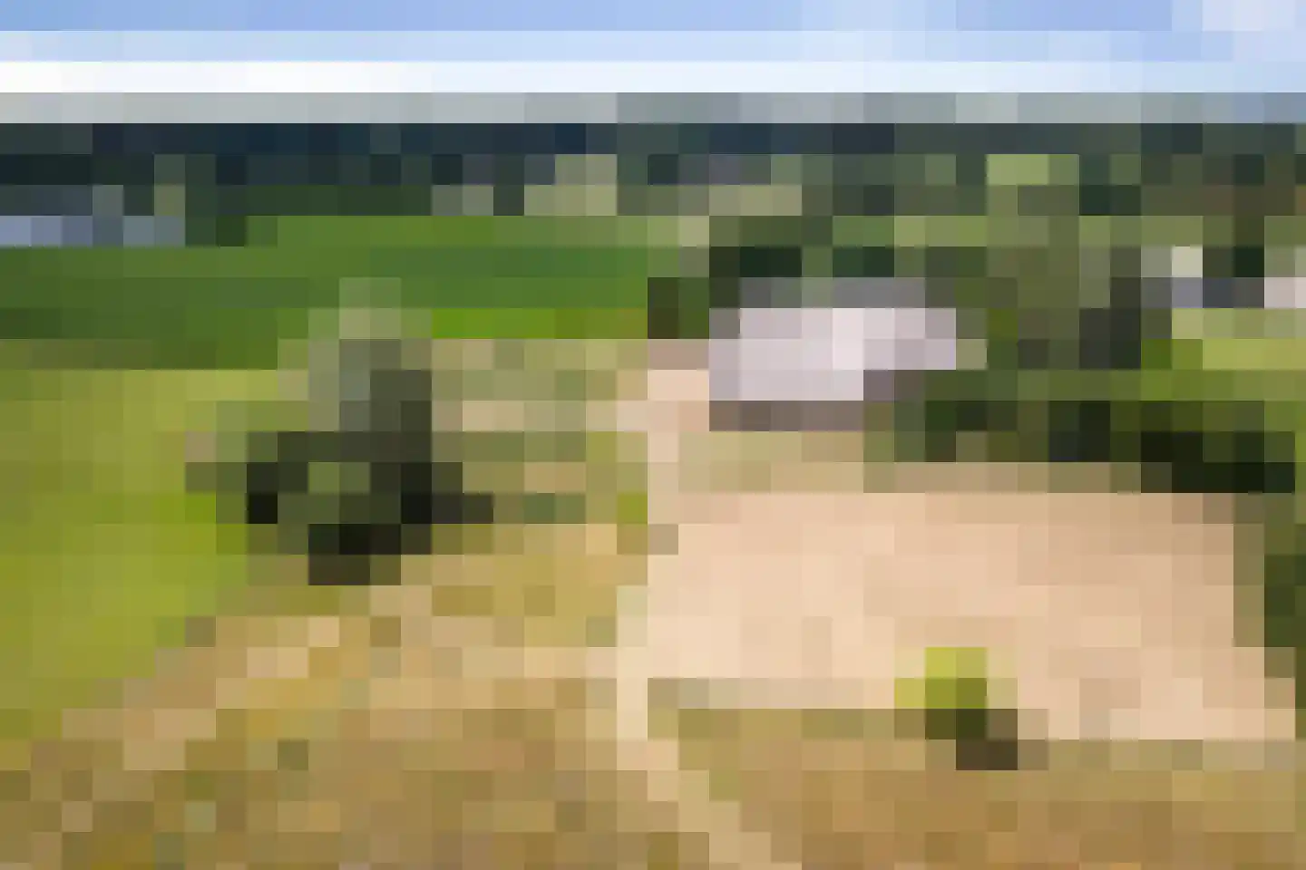 Schrijversweg 2 Deventer thumbnail 47