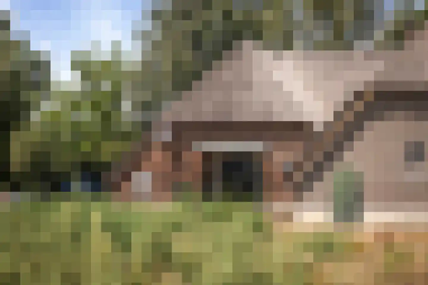 Schrijversweg 2 Deventer thumbnail 50