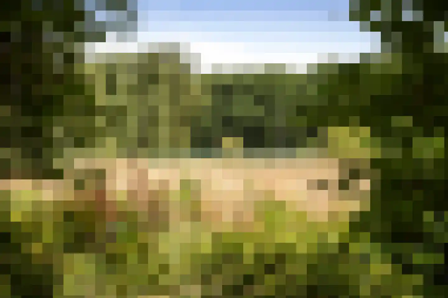 Schrijversweg 2 Deventer thumbnail 53
