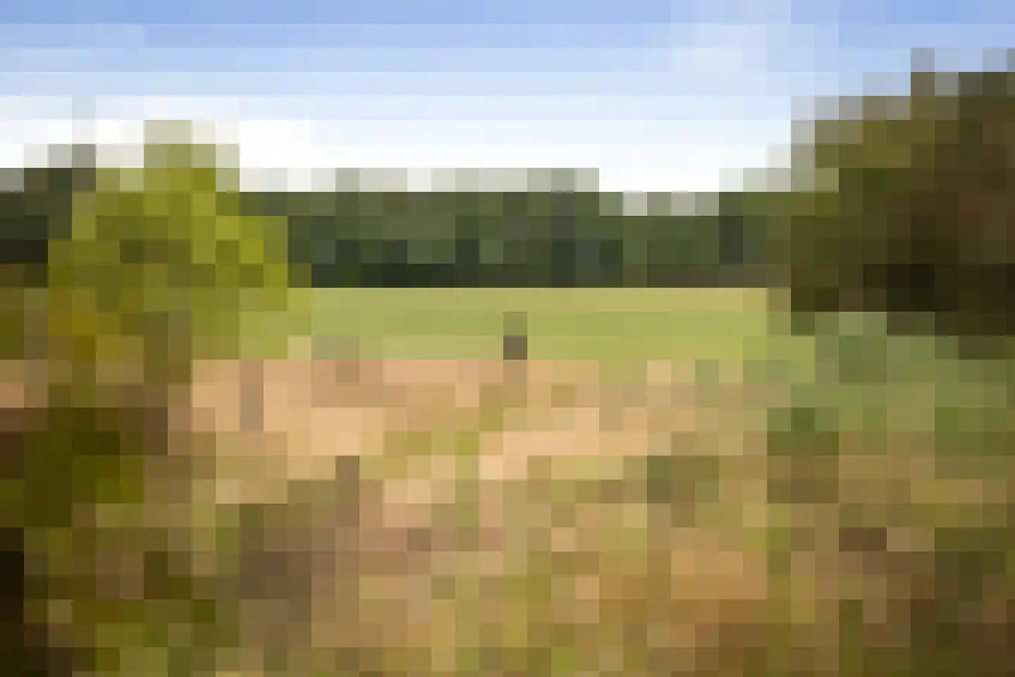 Schrijversweg 2 Deventer thumbnail 55